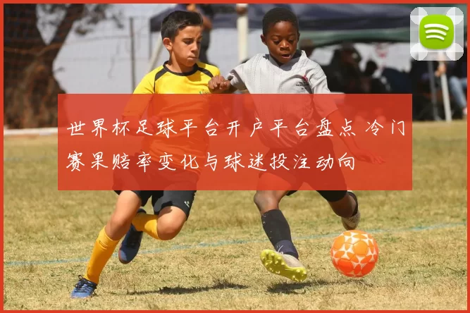 世界杯足球平台开户平台盘点 冷门赛果赔率变化与球迷投注动向